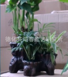 美观花盆【各种形式可定做】