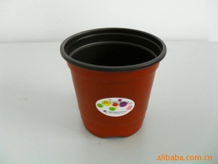茶色双色小花盆