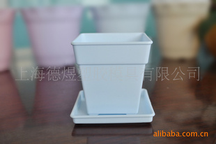 维罗纳品牌 蓝色塑料花盆容器批发 环保花盆 迷你可爱塑料花盆