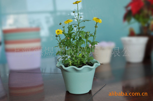 绿色莲花花盆容器 花边塑料花盆容器 园艺花盆 园艺资材 植物花盆