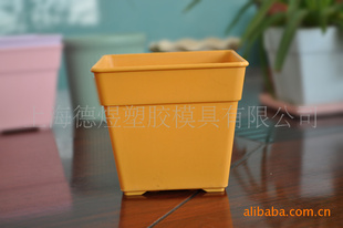 维罗纳品牌 方形塑料彩色花盆植物花盆 园艺用品 塑料方形小花盆