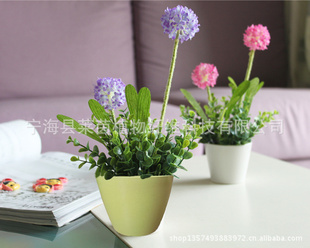 办公桌面小花盆  迷你环保花盆  植物纤维可降解花盆