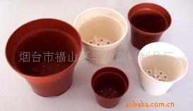 PP网底园艺花盆容器 抗老化塑料花盆