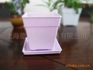 维罗纳品牌 玫瑰系列紫色方形彩色小花盆 紫色带盆托花盆批发