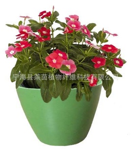 绿色环保生态花盆 竹纤维花盆 家庭园艺花盆