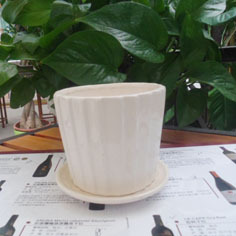 批发室内小盆栽陶瓷小花盆条纹白瓷盆