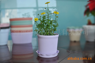 紫色圆形条纹塑料花盆 配植物花盆 园艺用品公司 塑料花盆批发