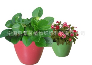 植物纤维家庭园艺摆设花盆   可降解环保