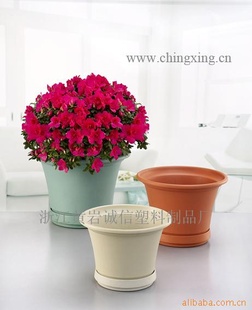 花盆 诚信花盆 塑料花盆 蓄水网格花盆