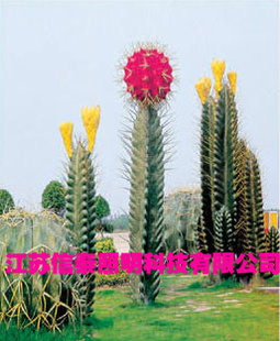 ̩˾ȫƷʾ۵ ¹ŵ ƺ ۸Żݹ*