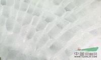 Ӫ5Ӧ/Ӫ5ͼƬ