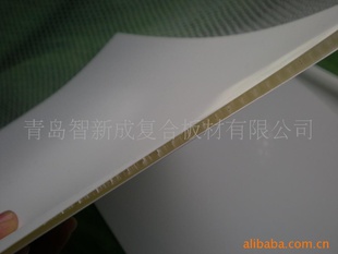 抗压的PP芯材木塑复合板蜂窝 超轻环保易操作