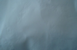 ľר÷ɢżϸ ݻϸ˾