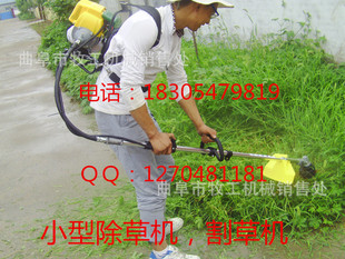 自动收集草坪车,手推式收割机机厂家直供