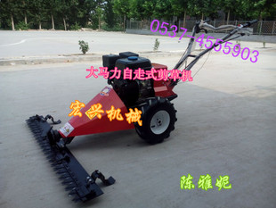 ԰ֲƺ޼_ʽݻ ͻеƺ