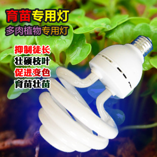粹ƶֲﲹ紲ƶ