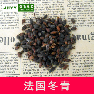 ѡ紲  ձɺ 