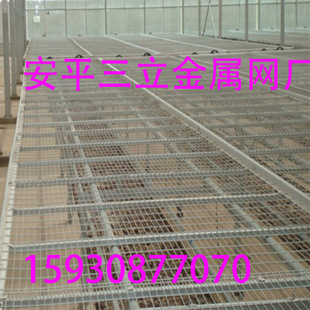 紲רҵ  ȶпƬ 紲