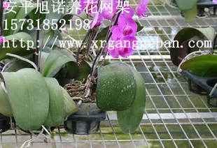 *ֵεĳ!!!!ƽŵ‘紲Ƭ’