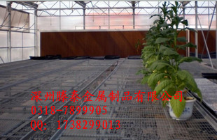 ȶпƬ紲紲ֲ