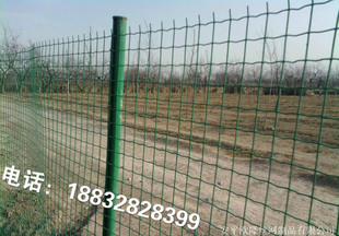 רҵդ  18832828399