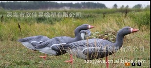 涯Ѽӡܣ ն