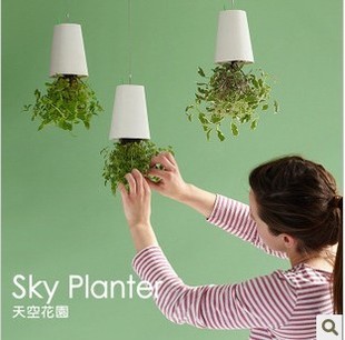 Sky planterջ԰ִղֻû軨