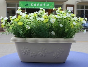 爱丽思树脂花盆 多肉植物花盆 塑料花盆 花盆批发550