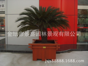 各种木花盆