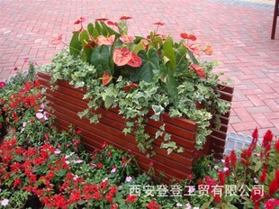 厂家直销 户外实木长方形花盆 道路美化实木花盆