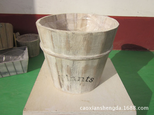 Ҿװ ں Plants ԰ Բ ӭ