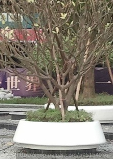 欧式户外白色大花盆 门口摆放树脂玻璃钢花器 节日公园花钵