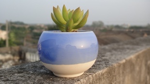 ֲﻨ ֹ С մɻ 칫Ұڼ zakka
