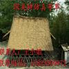 仿真茅草供应商