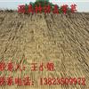 深美特仿真茅草材料/屋面仿真草/茅草瓦