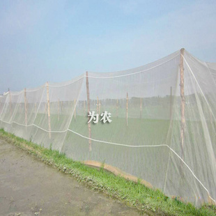 大棚防虫网 台州防虫网 新桥防虫网 蔬菜防虫网
