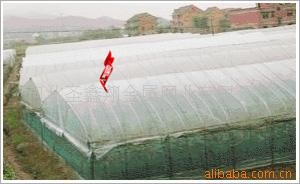 防虫网