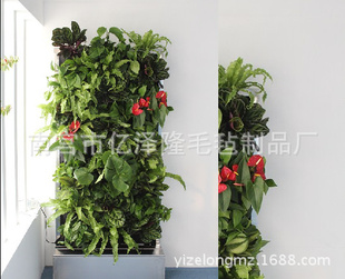 墙面绿化装饰连体横4口种植袋壁挂各种彩色订货生产1米*30cm