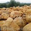 专业批发各种园林景观黄蜡石