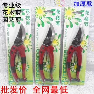 18.5cm  ֦ ֦ ľ ǿ԰֦ ֦