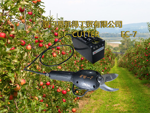 ֦ѡEC-7֦ ֦//԰ּ/綯