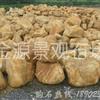 景观设计园林用石黄蜡石