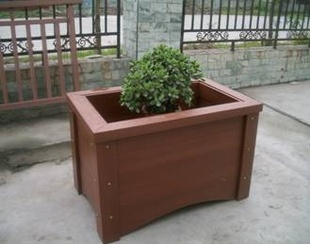 ˲绯̬ľ