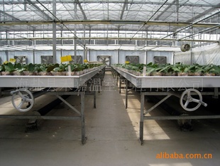 ֱṩƶ紲 Ҵƶʽ紲 Ʒʱ֤