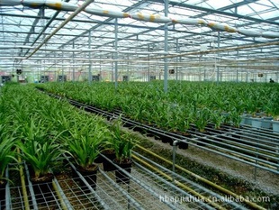 ƽѻʵ纸 紲 ֲ Ƭ пƬ