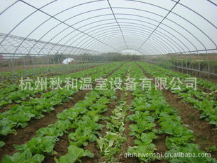 GP-C825 Ҵ 屡Ĥ  ຼϴ