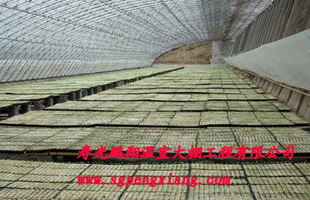 .ֱ רҵ Ҵｨ żӭѡ