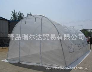 רҵӹƵƹҴﻨpolytunnel