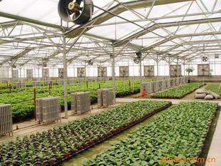 greenhouse sheet
