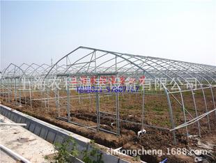 ϴ 13816407723